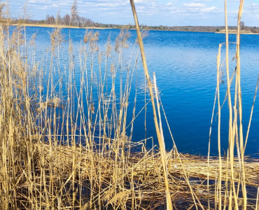 Уборка озера "Ольшанский карьер", 01.05.2022 - 25