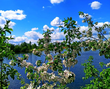 Уборка озера "Подснежники", 29.05.2022 - 84