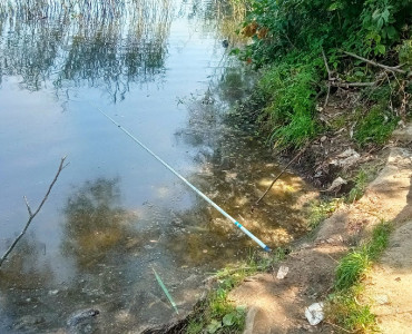 Уборка озера в деревне Кощино, 04.09.2022 - 18