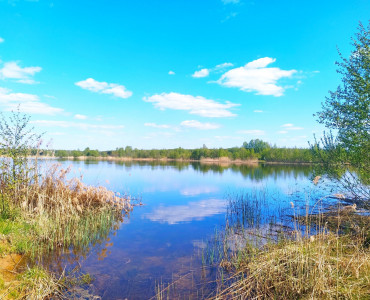 Уборка озера "Ольшанский карьер", 07.05.2023 - 66