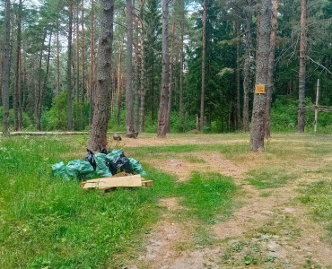 Уборка леса в деревне Телеши. 18.06.2023 - 29