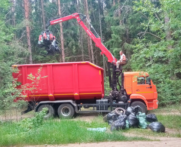 Уборка леса в деревне Телеши. 18.06.2023 - 64